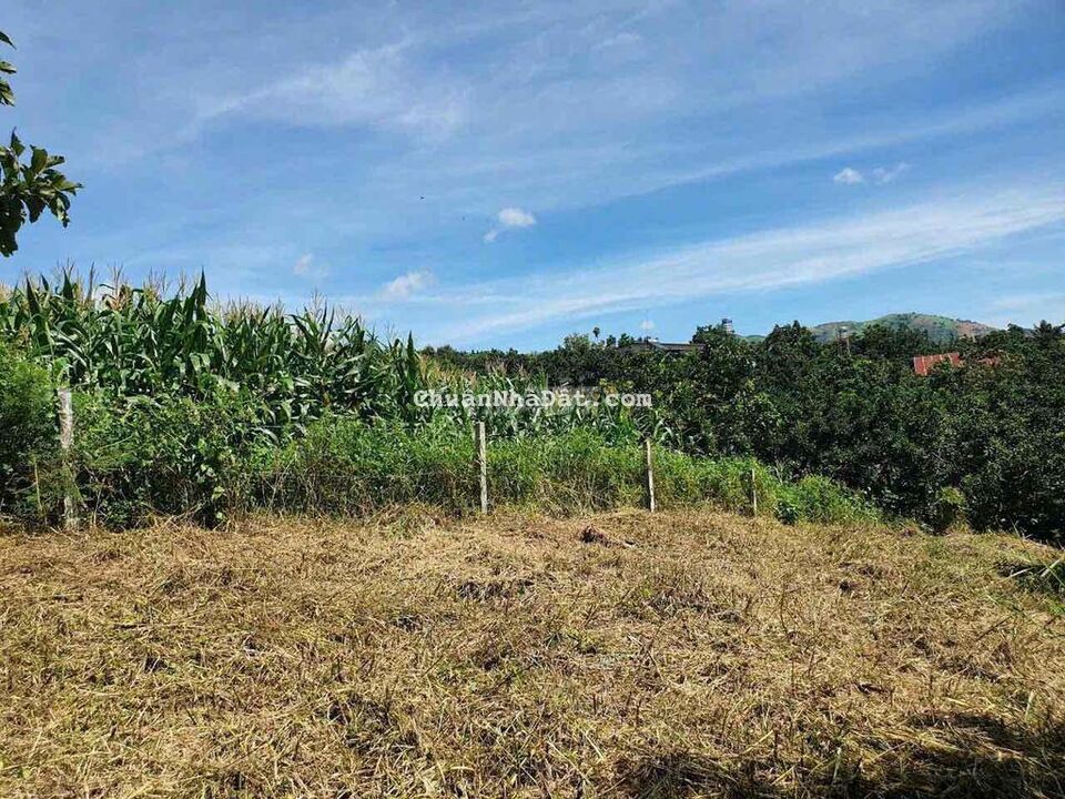 Bán lô đất 2 xào có 400m thổ cư xã Lộc Đức huyện Bảo Lâm