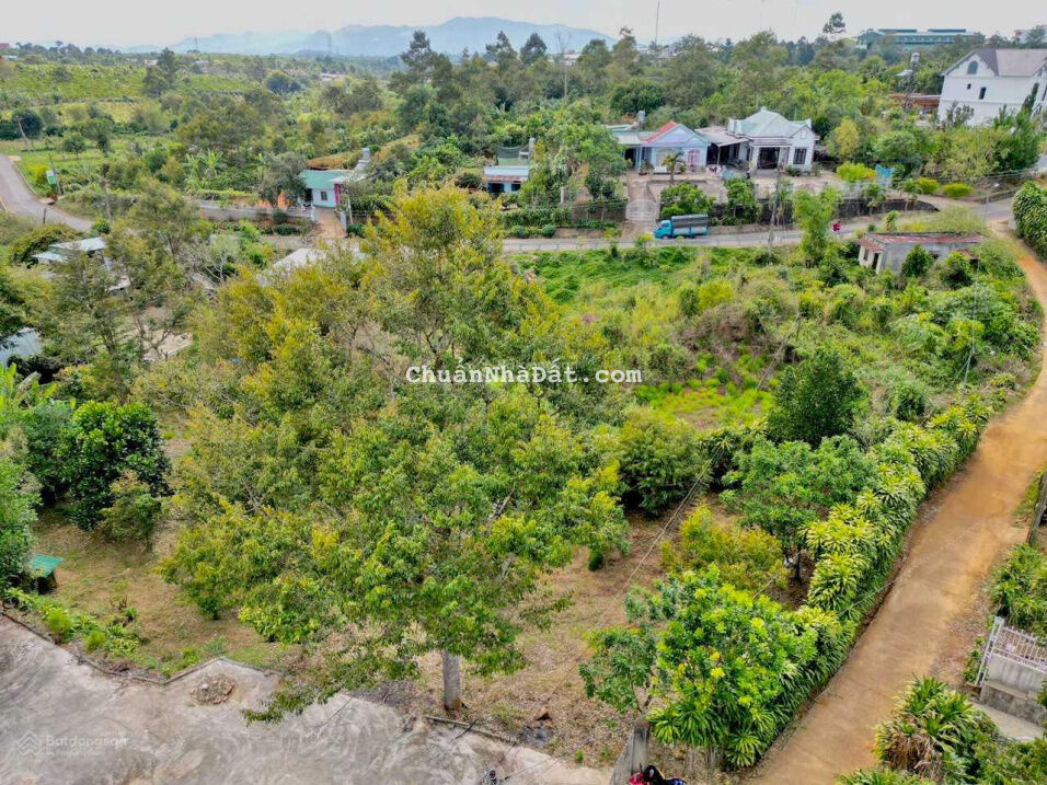 Cần bán gấp 2 sào 2 (400m2 thổ cư) vườn view giáp suối ngay trung tâm Lộc An, Lâm Đồng