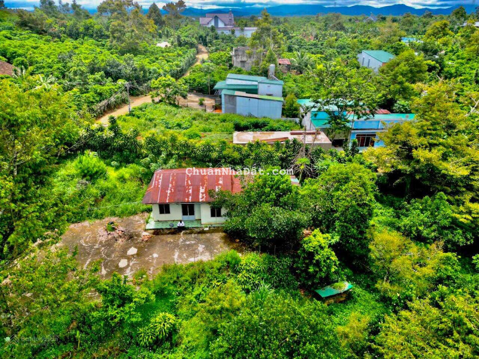 Cần bán gấp 2 sào 2 (400m2 thổ cư) vườn view giáp suối ngay trung tâm Lộc An, Lâm Đồng