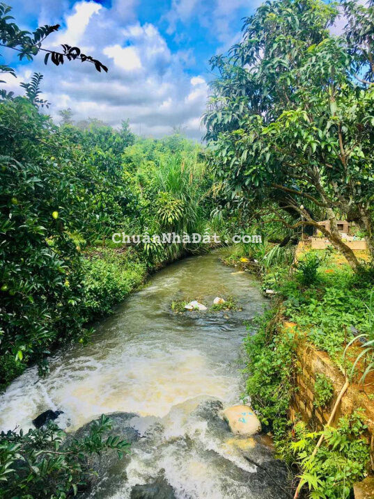 Cần bán gấp 2 sào 2 (400m2 thổ cư) vườn view giáp suối ngay trung tâm Lộc An, Lâm Đồng