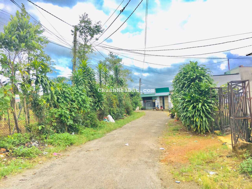 Chính Chủ Cần Bán Gấp Đất 244,00m2 Gần Trung Tâm Tp Bảo Lộc . Lâm Đồng