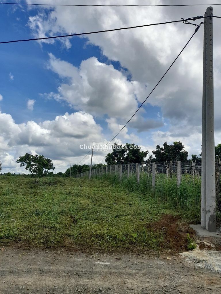 Bán lổ 2587 m2 Đất Có Thổ Cư, Liên Xã Lộc Ngãi Bảo Lâm, Giá 1 tỷ 950