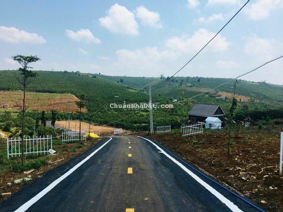 Cần bán gấp lô Đất ngang 8m x36m, 285m2 Lộc Ngãi ,Bảo Lâm, Bảo Lộc .