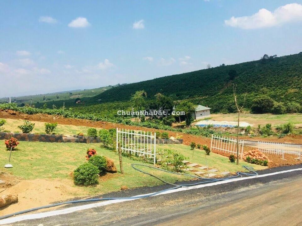 Cần bán gấp lô Đất ngang 8m x36m, 285m2 Lộc Ngãi ,Bảo Lâm, Bảo Lộc .