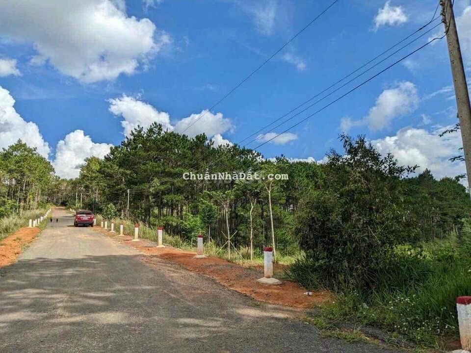 Bán hơn 2 xào đấy có 150m thổ cư gần DT725 Lộc Ngãi Huyện Bảo Lâm Bán hơn 2 xào đấy có 150m thổ cư gần DT725 Lộc Ngãi Huyện Bảo Lâm