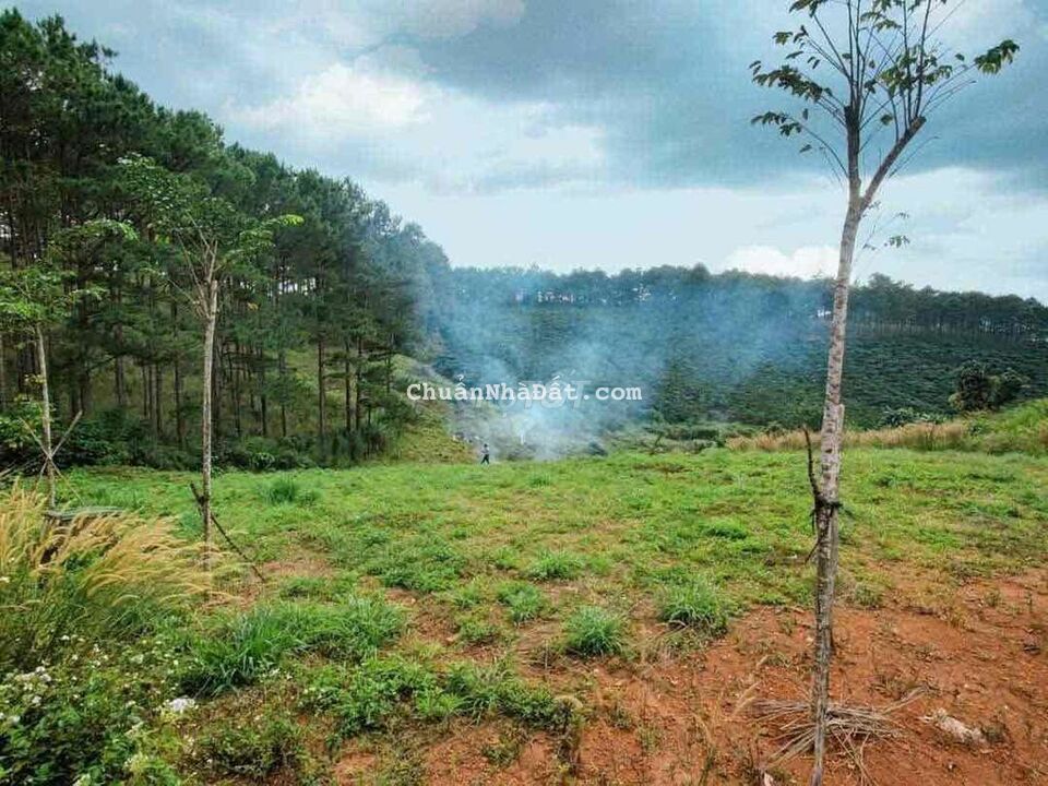 Bán hơn 2 xào đấy có 150m thổ cư gần DT725 Lộc Ngãi Huyện Bảo Lâm Bán hơn 2 xào đấy có 150m thổ cư gần DT725 Lộc Ngãi Huyện Bảo Lâm