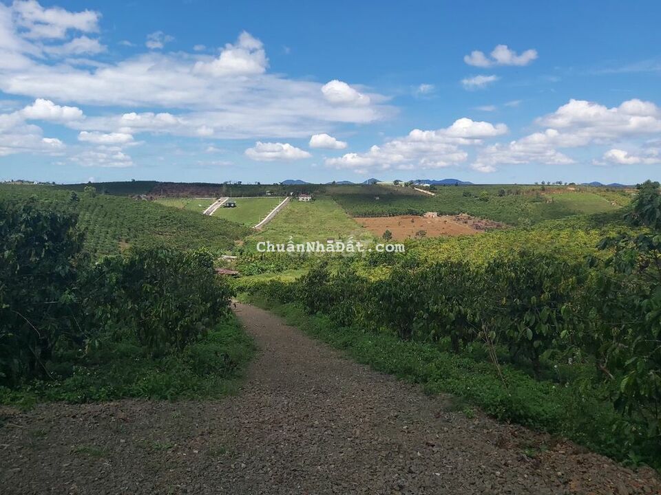 Bán thu hồi vốn lô đất đường 21 Lộc Quảng, Bảo Lâm