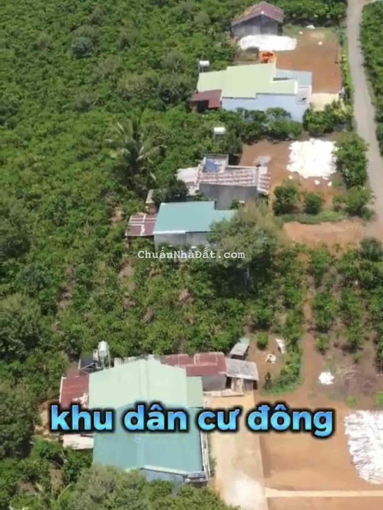 Cắt Lỗ 40% lô đất có 100 mét thổ Lộc Đức H Bảo Lâm