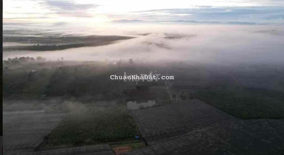 Bán lỗ 420tr lô Lộc Quãng diện tích 503m2 có thổ cư