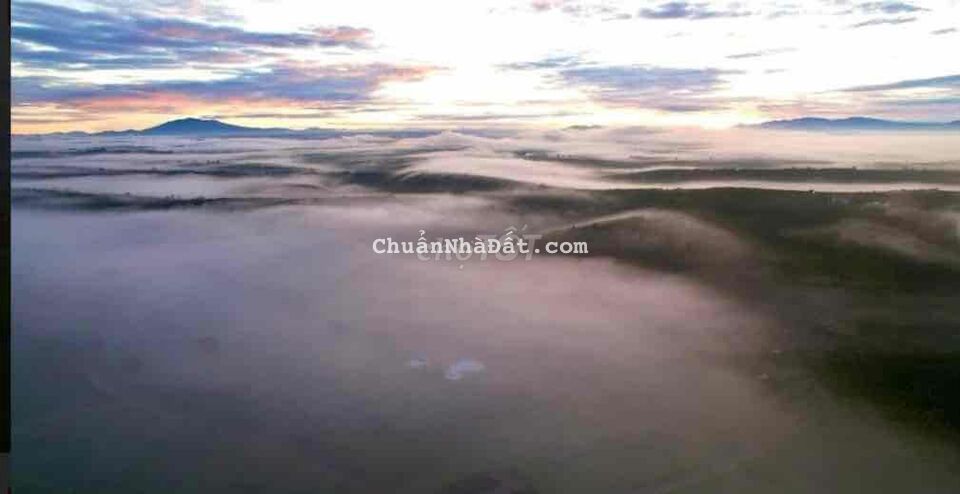 Bán lỗ 420tr lô Lộc Quãng diện tích 503m2 có thổ cư