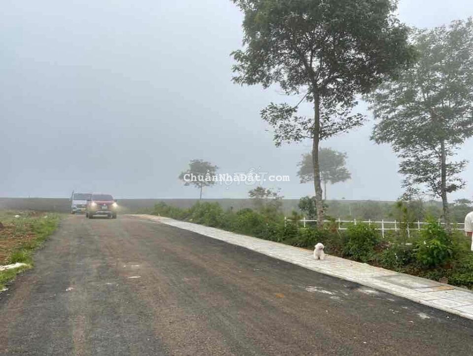 Bán lỗ 420tr lô Lộc Quãng diện tích 503m2 có thổ cư