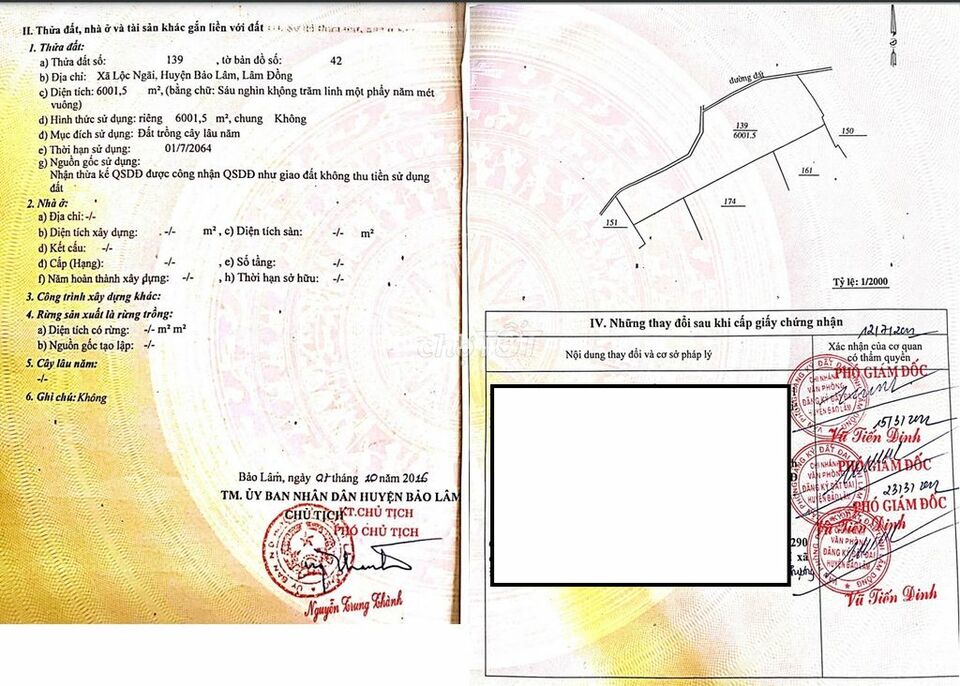 Chính chủ bán 6 sào - 6001 m2 - Chỉ 1 tỷ 5 phù hợp đầu tư làm vườn Chính chủ bán 6 sào - 6001 m2 - Chỉ 1 tỷ 5 phù hợp đầu tư làm vườn