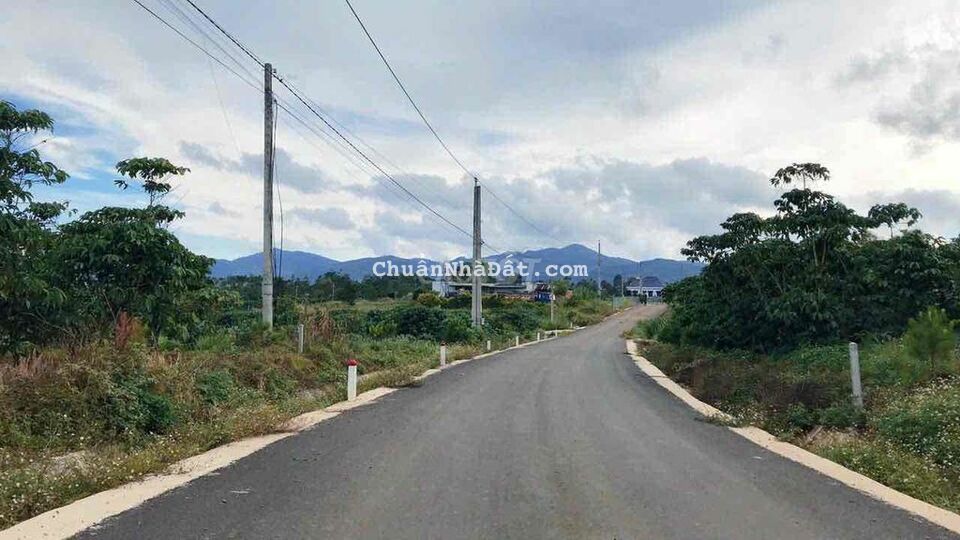 chủ ngộp bán nhanh 1000m2 ngay trung tâm , view rừng thông.