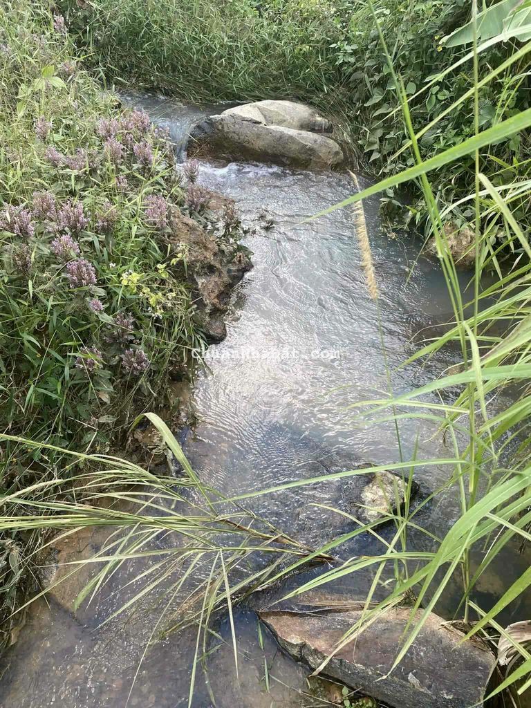 Bán nhanh 1000m2  Mặt tiền đường lớn.View Suối lớn rừng thông bao phủ