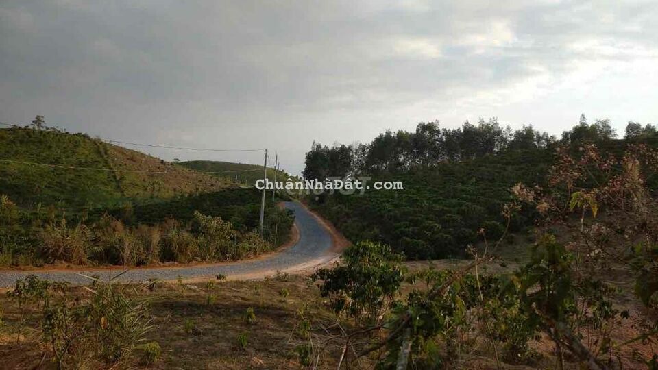 cần tiền bán nhanh mảnh view suối , Đất mặt tiền ngay thị Trấn.