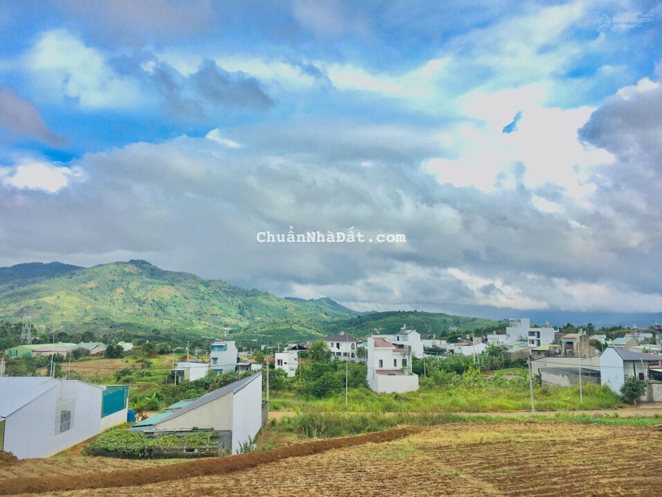 Cần bán gấp đất trung tâm TP. Bảo Lộc, Lâm Đồng Cần bán gấp đất trung tâm TP. Bảo Lộc, Lâm Đồng