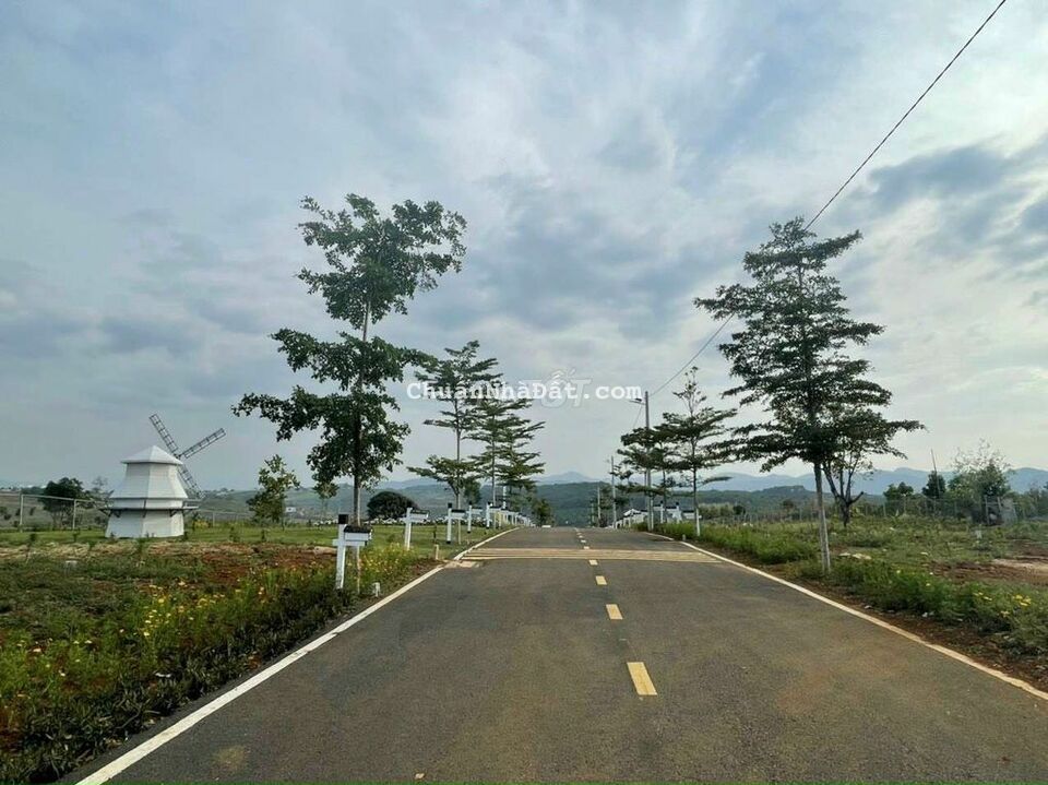 Cắt lỗ 200tr bán gấp trả nợ