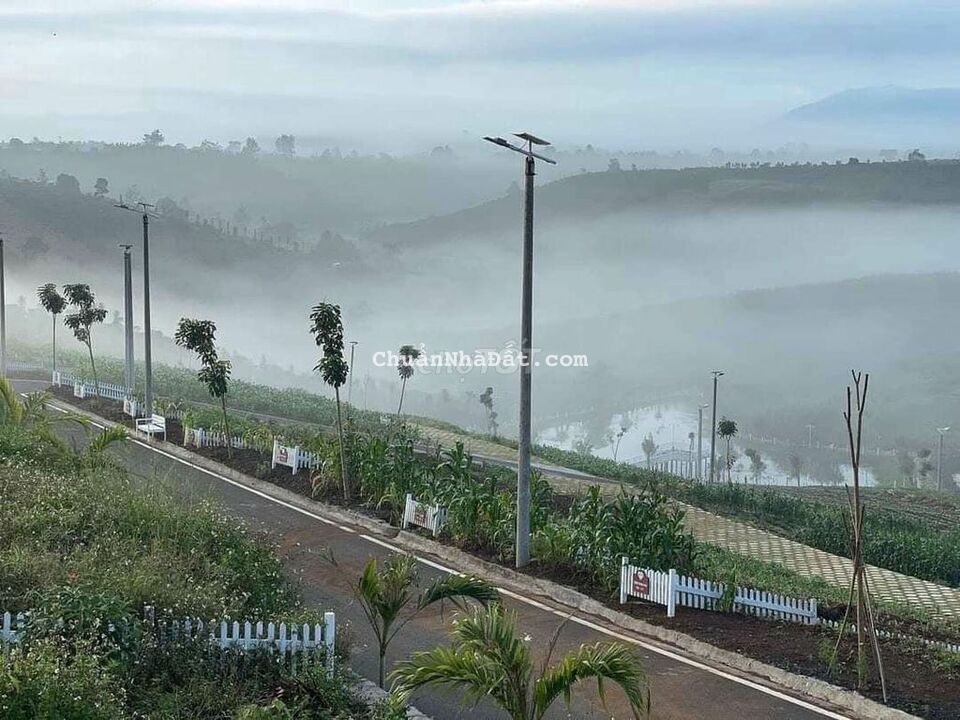 Cắt lỗ bán tháo để lâu lãi ngân hàng ăn hết vô vốn Cắt lỗ bán tháo để lâu lãi ngân hàng ăn hết vô vốn