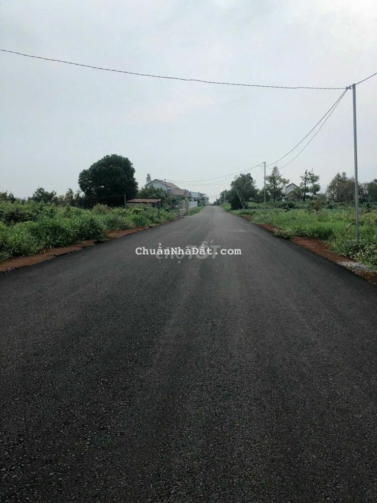 hẻm 123 Mạc Đĩnh Chi - P2 - Tp Bảo Lộc Sẵn thổ cư cần bán gấp.