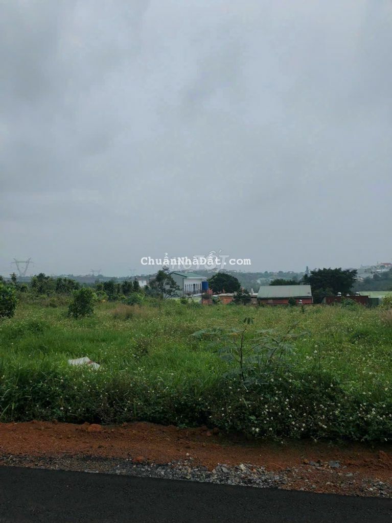 hẻm 123 Mạc Đĩnh Chi - P2 - Tp Bảo Lộc Sẵn thổ cư cần bán gấp.