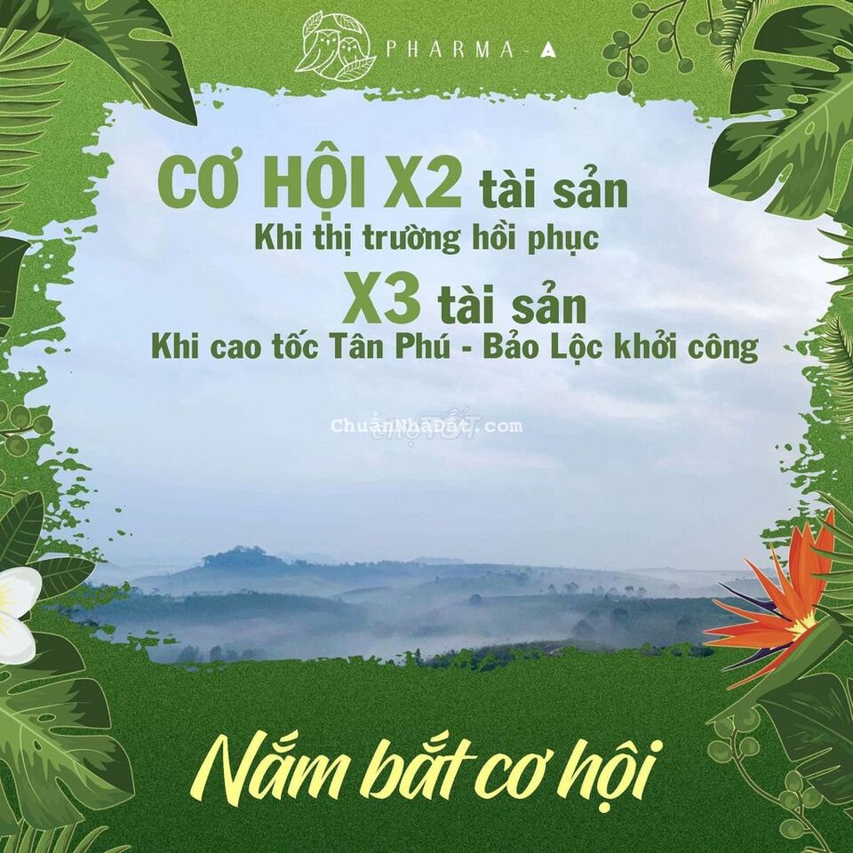 Bán đất ngộp bank