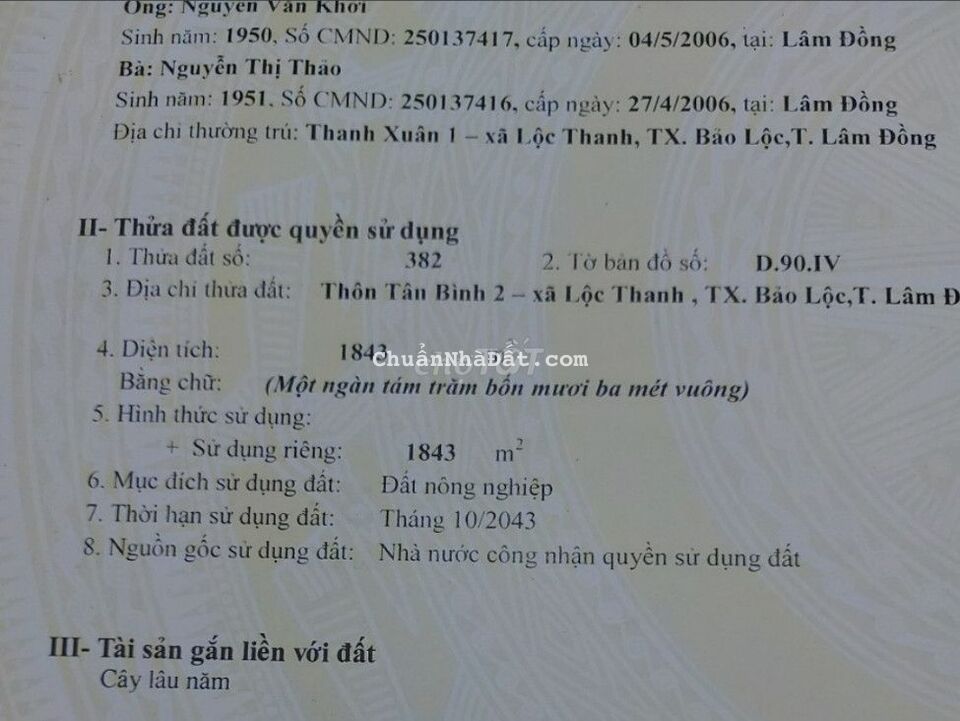 1843 m2 đất Bảo Lộc, không phải B. Lâm, vì gấp bán 1 tỷ 150 có bớt 1843 m2 đất Bảo Lộc, không phải B. Lâm, vì gấp bán 1 tỷ 150 có bớt