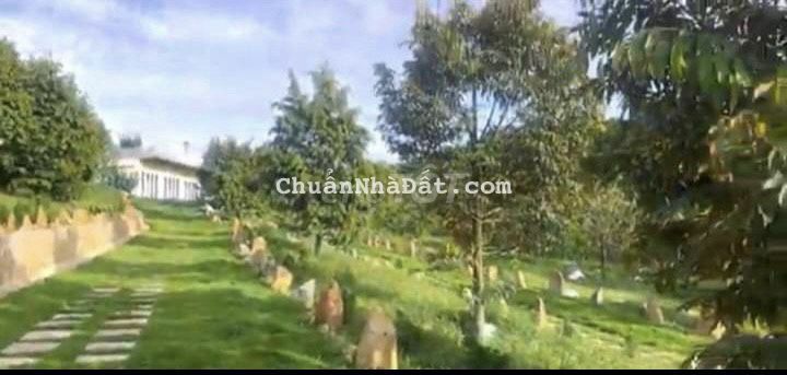 Nhà vườn nghỉ dưỡng view cực đẹp ở Bảo Lộc - có sẵn vườn cây ăn trái Nhà vườn nghỉ dưỡng view cực đẹp ở Bảo Lộc - có sẵn vườn cây ăn trái