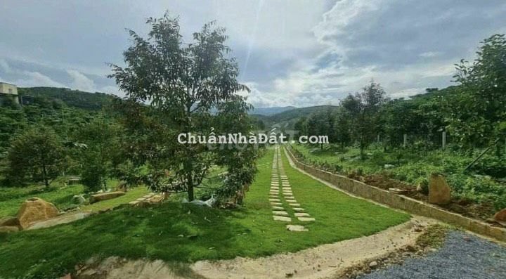 Nhà vườn nghỉ dưỡng view cực đẹp ở Bảo Lộc - có sẵn vườn cây ăn trái Nhà vườn nghỉ dưỡng view cực đẹp ở Bảo Lộc - có sẵn vườn cây ăn trái