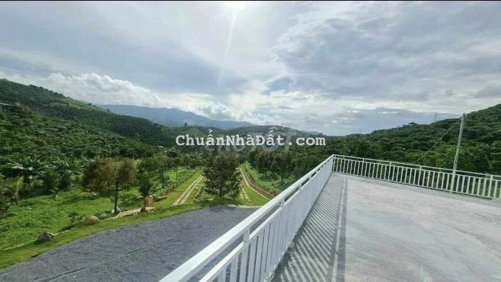 Nhà vườn nghỉ dưỡng view cực đẹp ở Bảo Lộc - có sẵn vườn cây ăn trái Nhà vườn nghỉ dưỡng view cực đẹp ở Bảo Lộc - có sẵn vườn cây ăn trái
