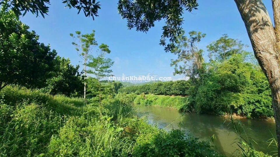 Đất sào mặt tiền đường nhựa view suối cực đẹp Đất sào mặt tiền đường nhựa view suối cực đẹp