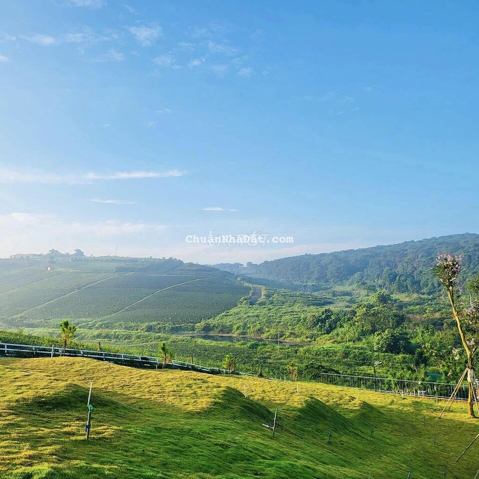 Bán đất làm Homstay nghỉ dưỡng đang cho thuê 1tháng 8 tr