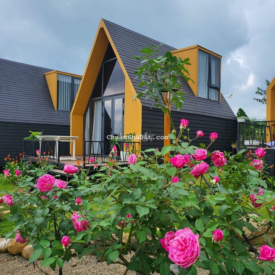 Bán đất làm Homstay nghỉ dưỡng đang cho thuê 1tháng 8 tr