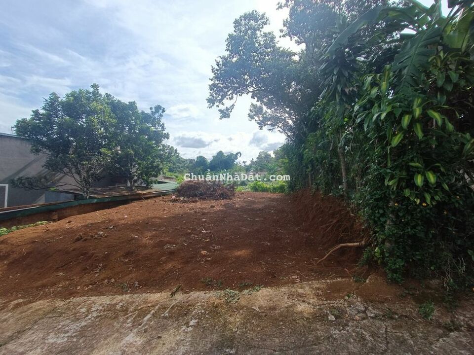 Quá ngộp ngân hàng! Bán đất hẻm 78 Mạc Đĩnh Chi - Phường 2 - Bảo Lộc