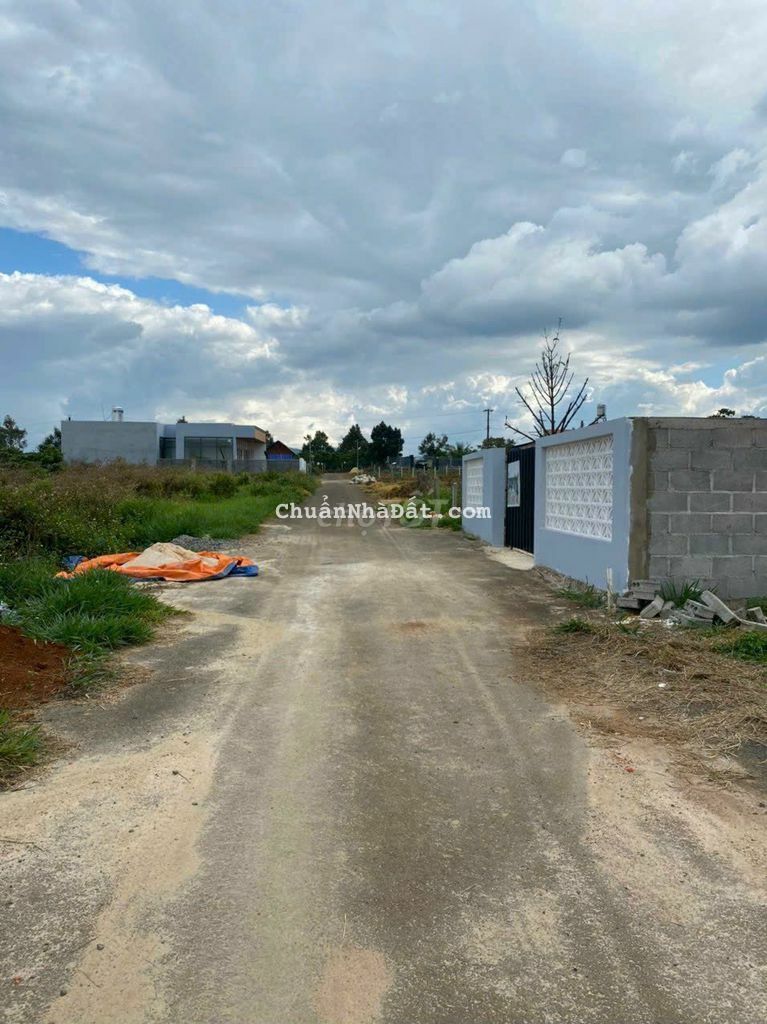 Bán rẻ! Đất hẻm 134 Phùng Hưng - P. Lộc Tiến - Tp. Bảo Lộc Bán rẻ! Đất hẻm 134 Phùng Hưng - P. Lộc Tiến - Tp. Bảo Lộc