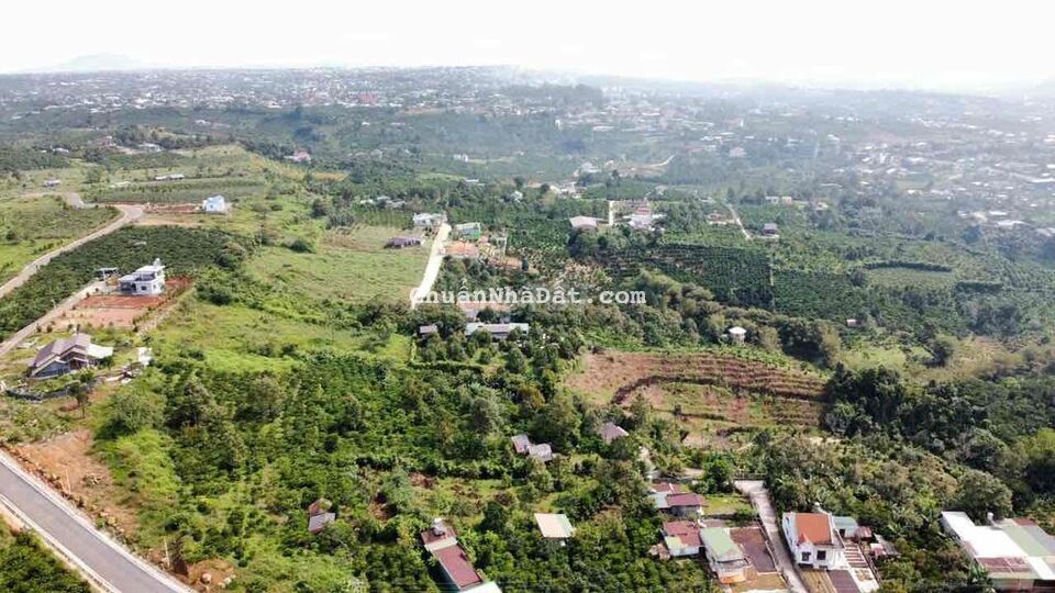 Cần bán gấp 2 xào Bảo Lộc lấy tiền trả nợ giá Rẻ