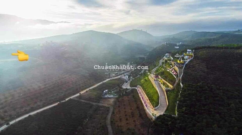 Bán Lô đất 2,5 xào xã Lộc Châu TP Bảo Lộc Bán Lô đất 2,5 xào xã Lộc Châu TP Bảo Lộc