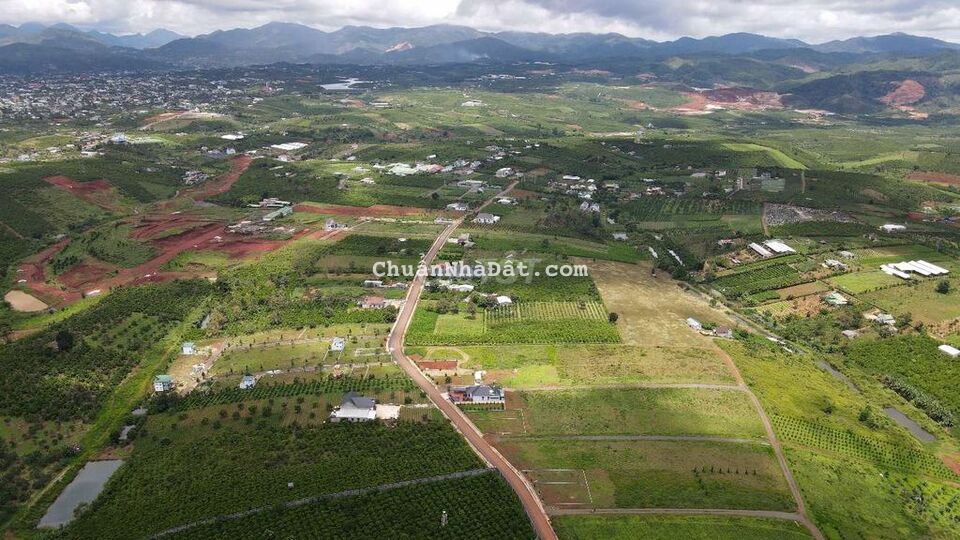 Đất cực đẹp trung tâm cần bán gấp Đất cực đẹp trung tâm cần bán gấp