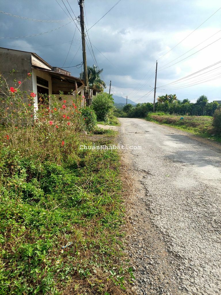 312 m2 mặt tiền Đại Lào thuộc Bảo Lộc chỉ 960 triệu có thổ cư 100m2