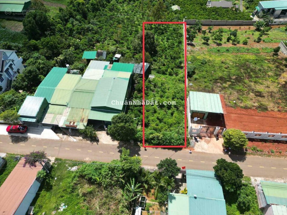 Cần bán gấp đất chính chủ mặt tiền P2. TP Bảo Lộc. Lâm Đồng