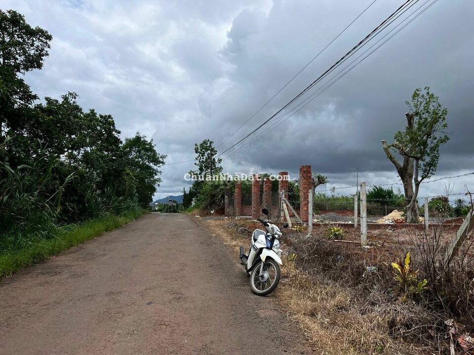 Bán đất mặt tiền đường Trần Nhật Duật - Đambri - Bảo Lộc -  Lâm Đồng