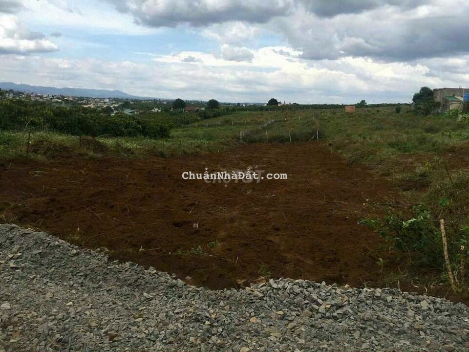 Bán lỗ hẻm 447 Lý Thường Kiệt - P. Lộc Phát - Tp. Bảo Lộc - Lâm Đồng