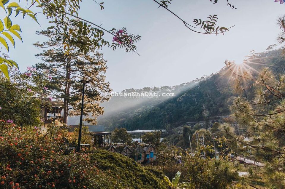 Đất ngay Trung Tâm TP, view rừng thông , có 300m2 thổ cư