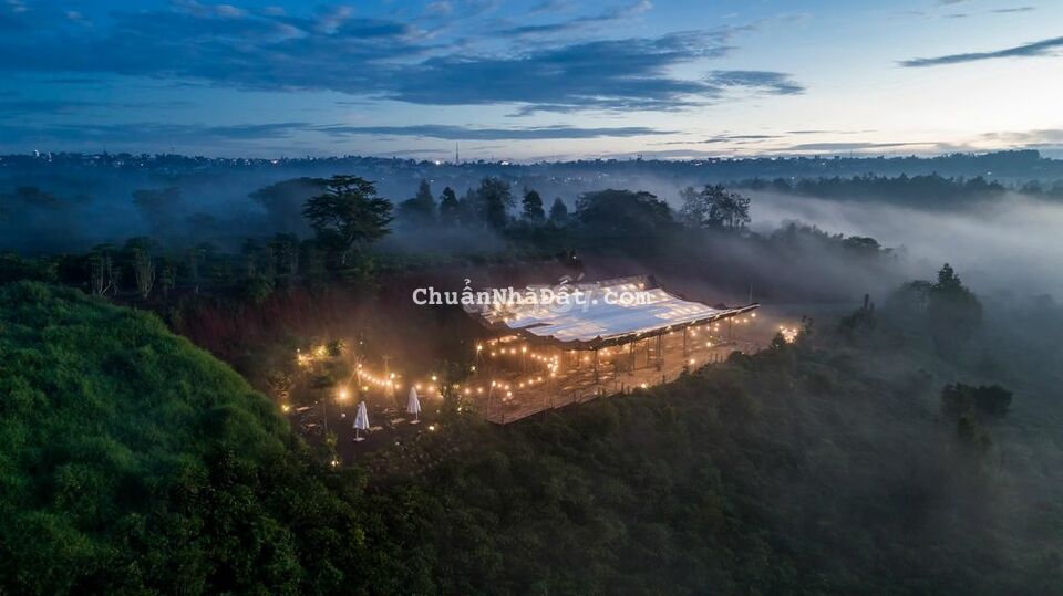 Đất ngay Trung Tâm TP, view rừng thông , có 300m2 thổ cư