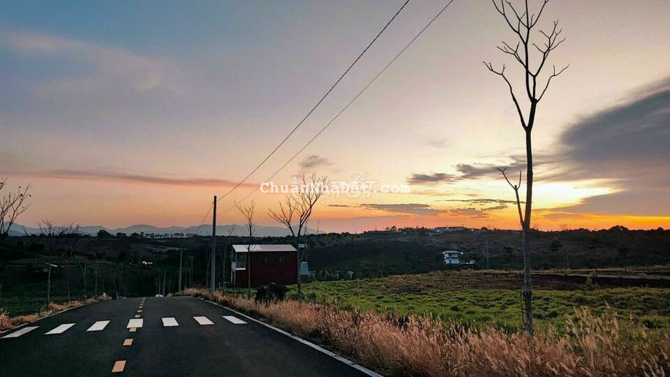 Đất ngay Trung Tâm TP, view rừng thông , có 300m2 thổ cư