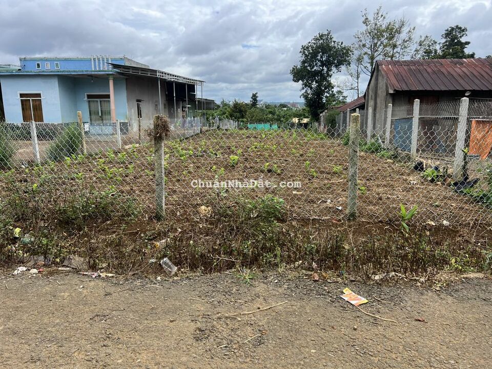 500 m2 có 100 thổ, mặt tiền hẻm N.V Cừ Gần Điểm ra Cao Tốc View đẹp