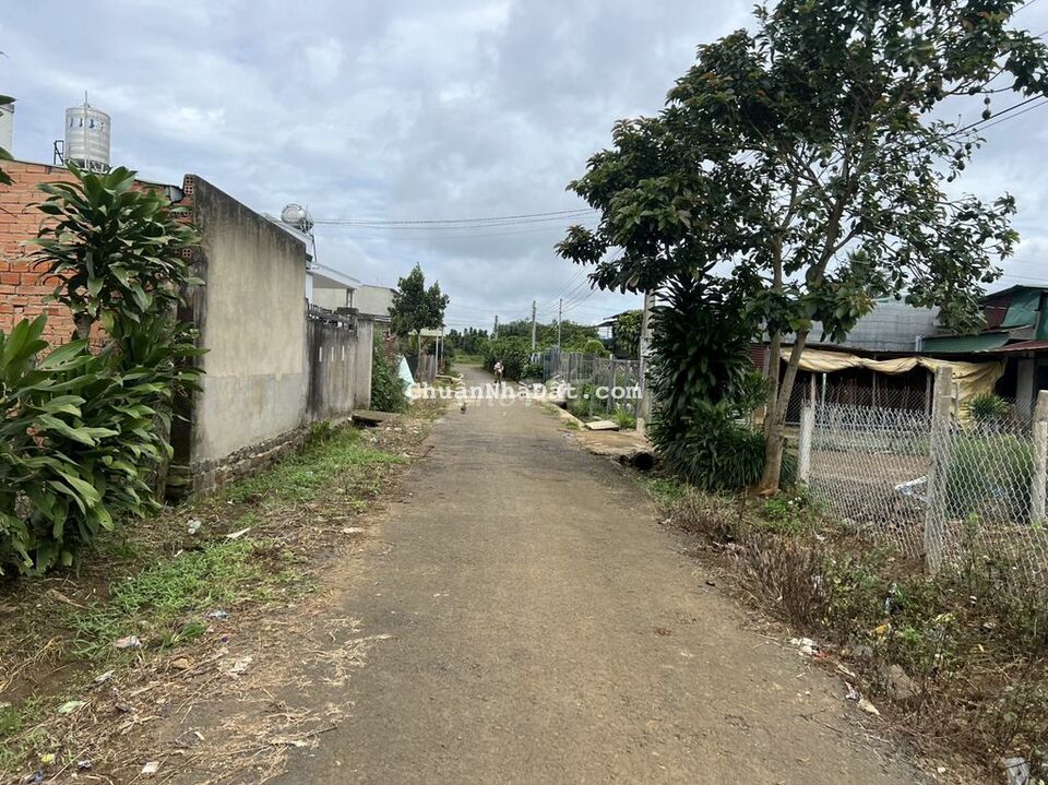 500 m2 có 100 thổ, mặt tiền hẻm N.V Cừ Gần Điểm ra Cao Tốc View đẹp