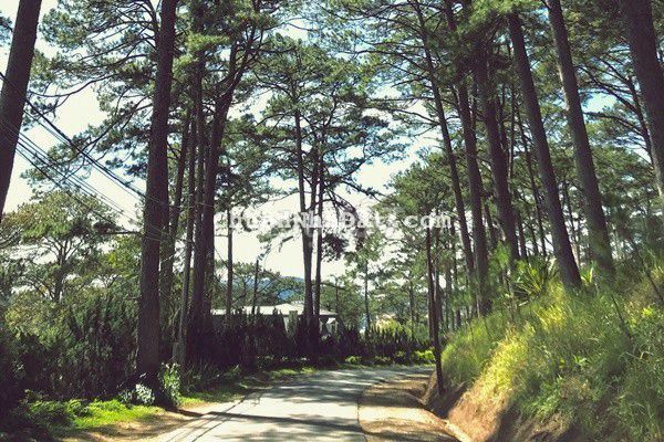 Đất Trung Tâm Thành Phố view đẹp Giá ngộp Rẻ Bèo