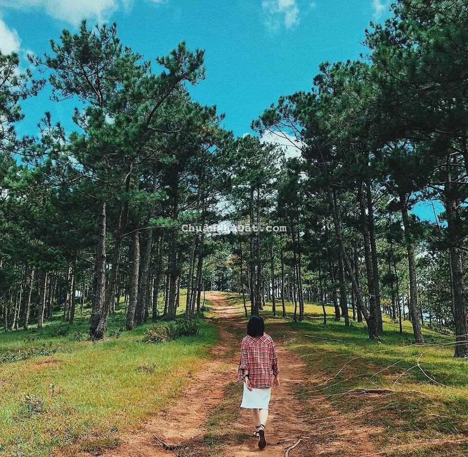 Đất Trung Tâm Thành Phố view đẹp Giá ngộp Rẻ Bèo