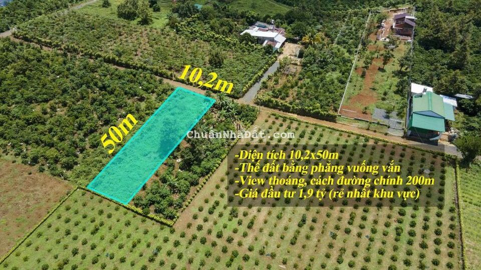 Đất Đẹp Lê Thị Riêng Giá Mềm Nhất Khu Vực Đất Đẹp Lê Thị Riêng Giá Mềm Nhất Khu Vực