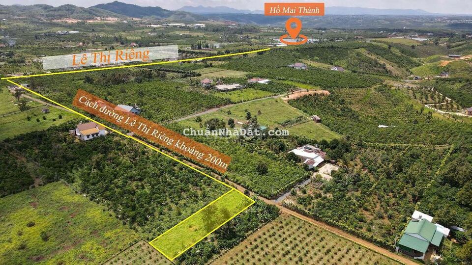 Đất Đẹp Lê Thị Riêng Giá Mềm Nhất Khu Vực Đất Đẹp Lê Thị Riêng Giá Mềm Nhất Khu Vực